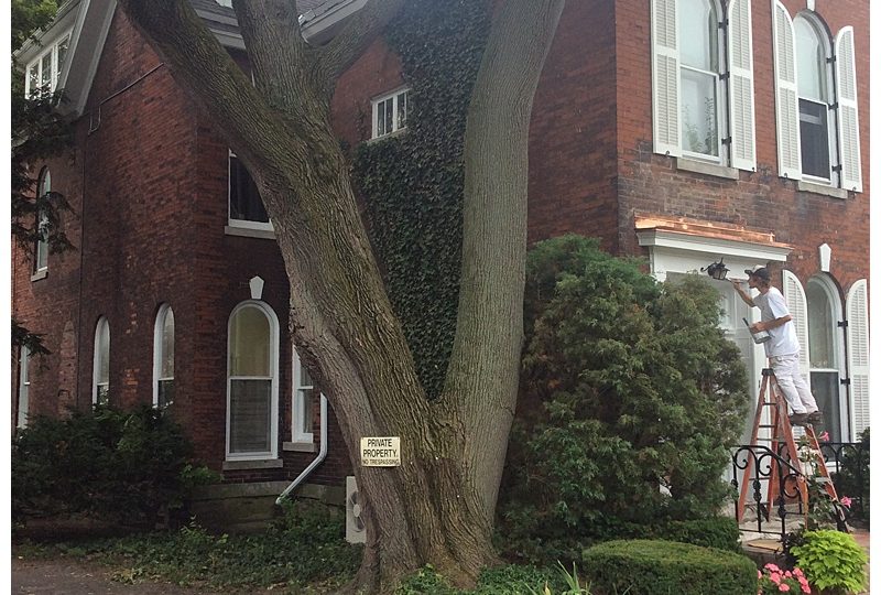 Updated Trim on Exterior of Home - Paint of WNY brick house has professional painters updating trim color